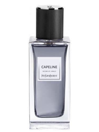 capeline by yves saint laurent.